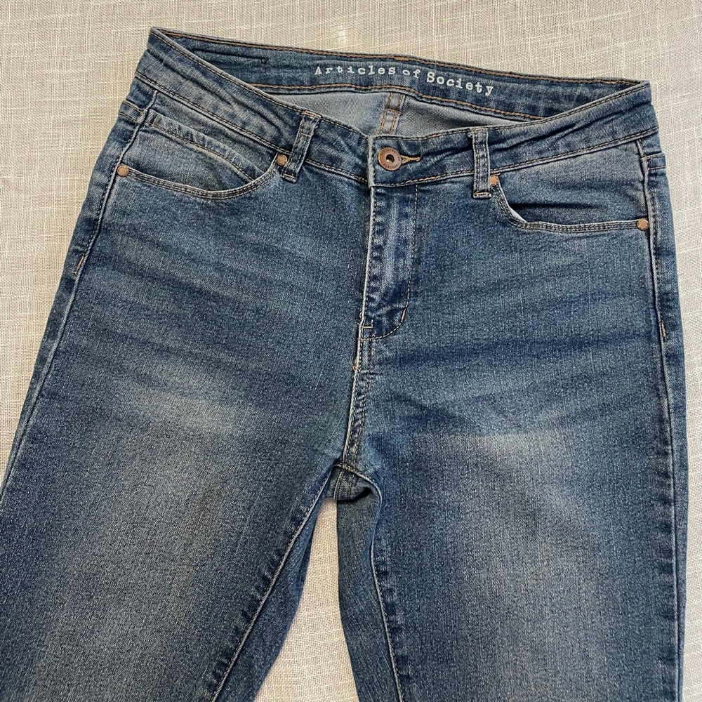 Articles of Society Flare Jeans